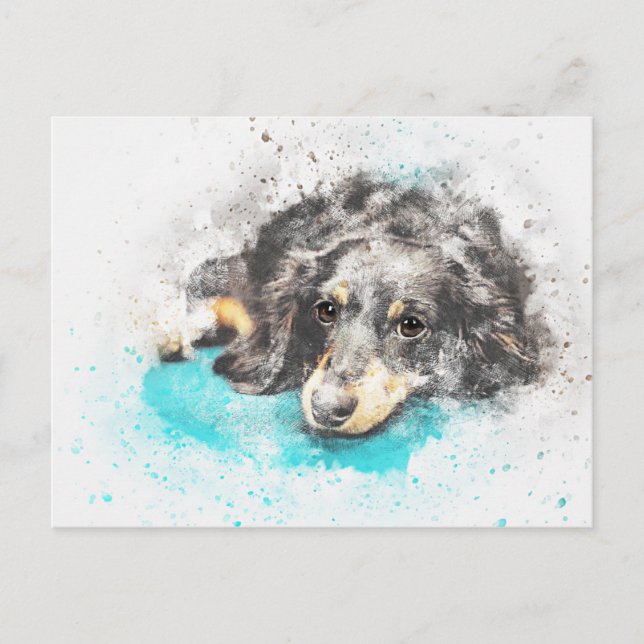 Postal dog-2719601_1920 (Anverso)