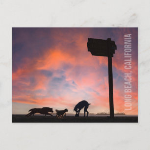 Postal Dog Beach at Sunset - Long Beach, California