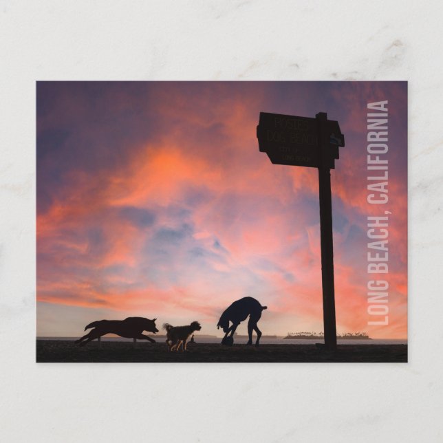 Postal Dog Beach at Sunset - Long Beach, California (Anverso)