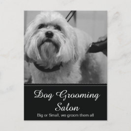 Postal Dog Grooming Post Card - Personalizable