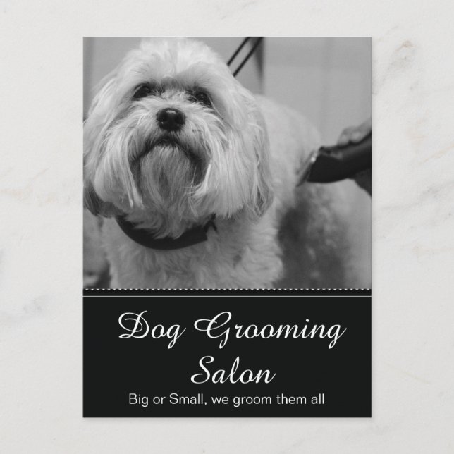 Postal Dog Grooming Post Card - Personalizable (Anverso)