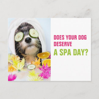 Postal Dog Grooming Postcard-Spa