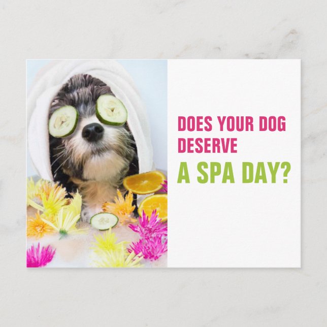 Postal Dog Grooming Postcard-Spa (Anverso)
