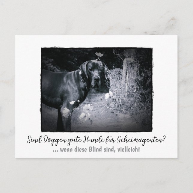Postal Dogge: der Hund für Geheimagenten  (Anverso)