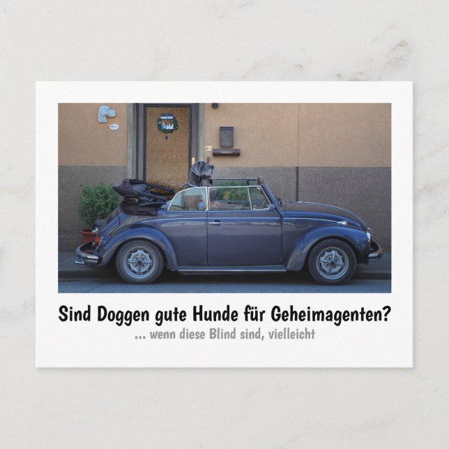 Postal Dogge: der Hund für Geheimagenten  (Anverso)