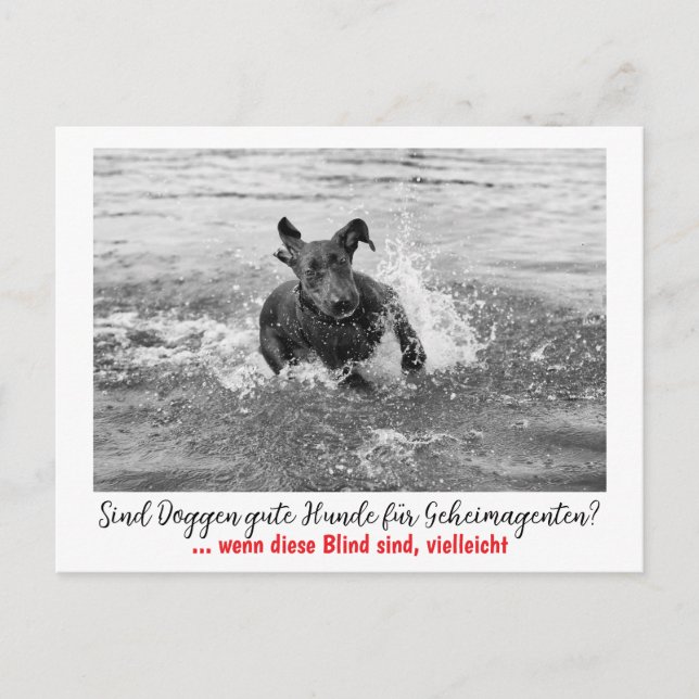 Postal Dogge: der Hund für Geheimagenten  (Anverso)