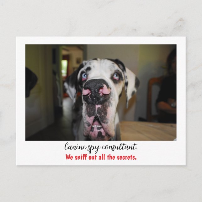 Postal Dogge: el perro para agentes secretos  (Anverso)