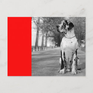 Postal Doggenhaus