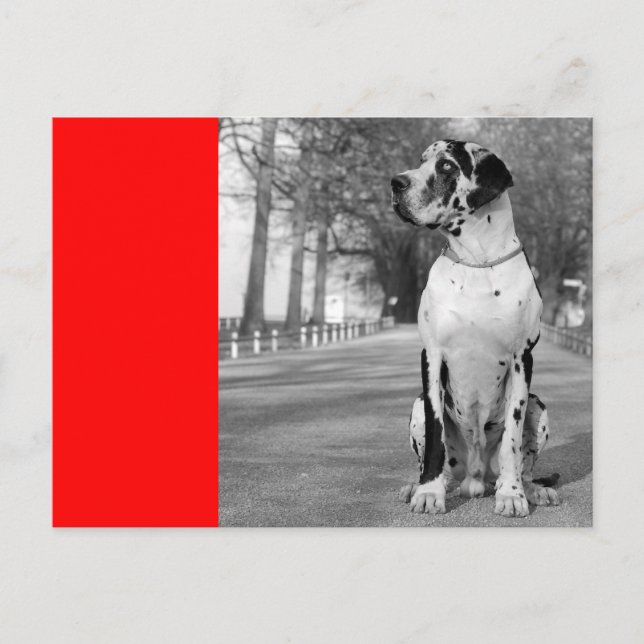 Postal Doggenhaus (Anverso)