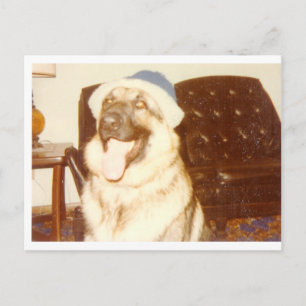 Postal Doggie_Cap