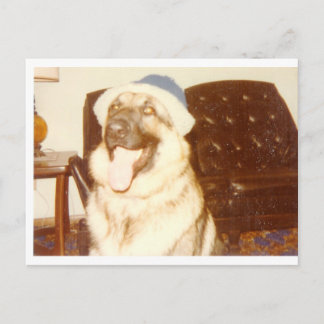 Postal Doggie_Cap