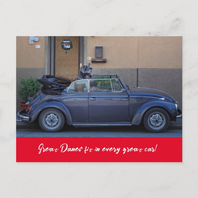 Postal Dogo Alemán cabe en un Beetle (Anverso)