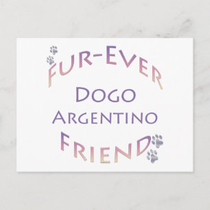 Postal Dogo Argentino Furever