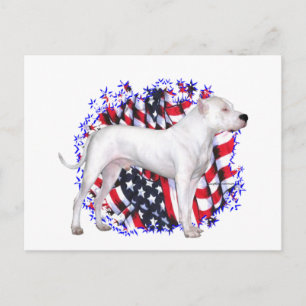 Postal Dogo Argentino Patriot
