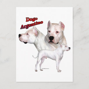 Postal Dogo Argentino Trio 2