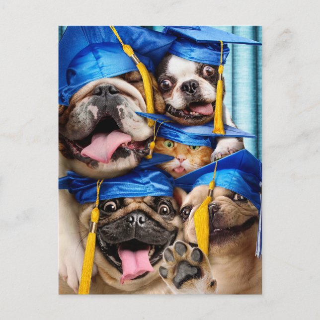 Postal Dogs and Cat Grads in Photo Booth (Anverso)