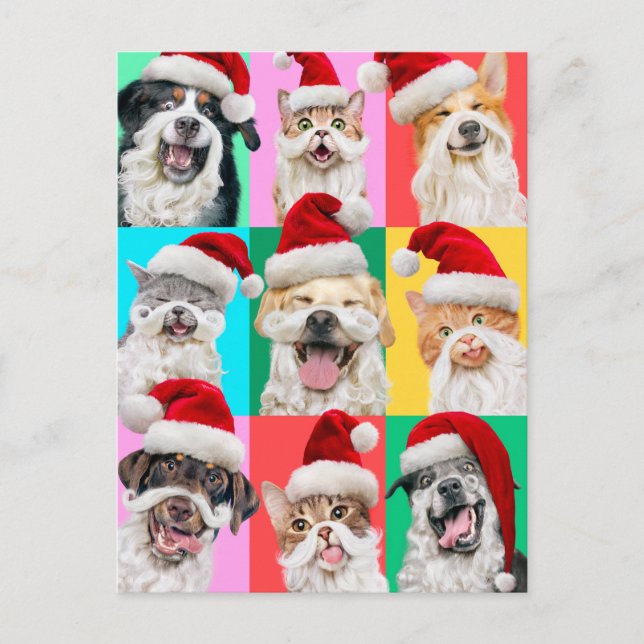 Postal Dogs and Cats with Santa Beard (Anverso)