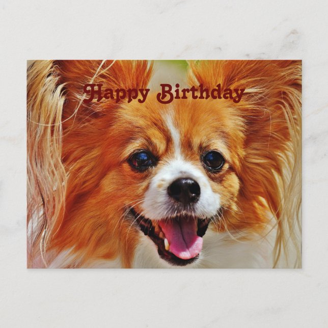 Postal Dogs divertidos Feliz cumpleaños (Anverso)