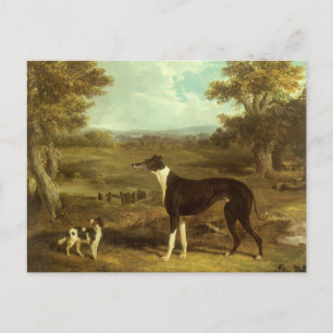 Postal Dogs, Greyhound and Spaniel, Doctor Fop by Herring
