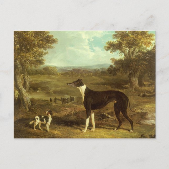 Postal Dogs, Greyhound and Spaniel, Doctor Fop by Herring (Anverso)