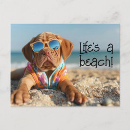 Postal Dogue de Bordeaux Puppy con gafas de sol