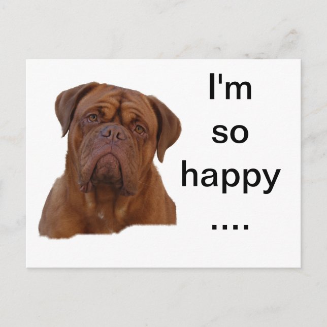 Postal Dogue de Bourdeaux (Anverso)