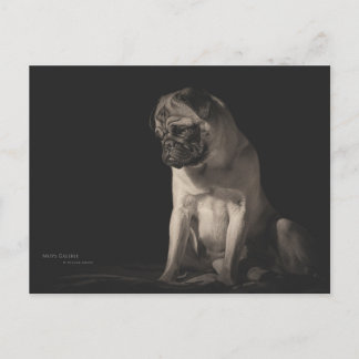 Postal Doguillo aura