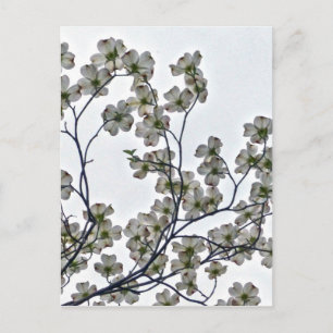 Postal Dogwood florida blanca