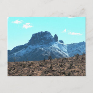 Postal Dolan Mitten SnowCapped
