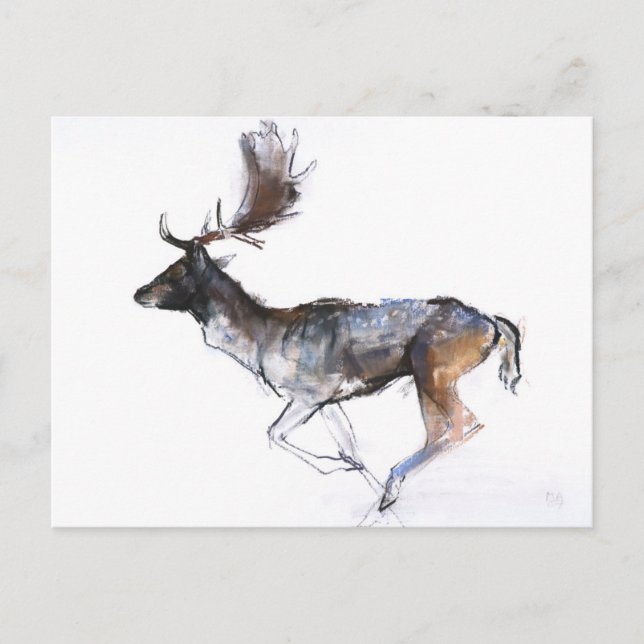 Postal Dólar de la tarde (Anverso)