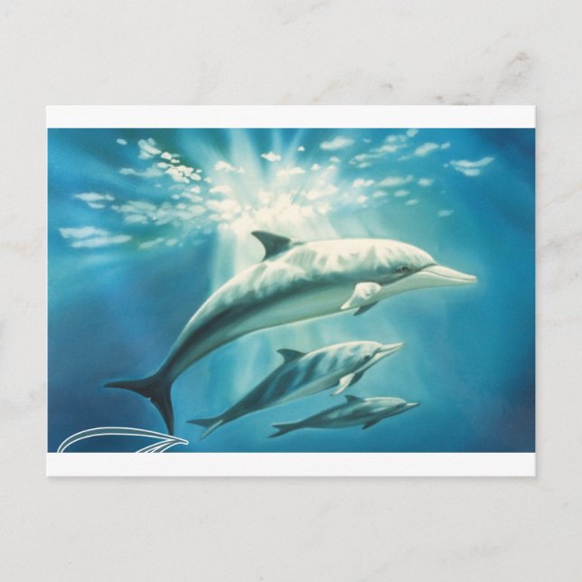 Postal Dolphin Trio (Anverso)