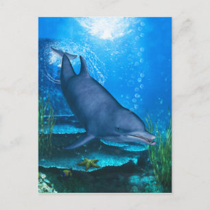 Postal Dolphin Underwater