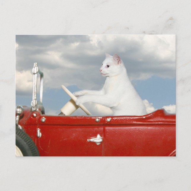 Postal Domingo (Anverso)