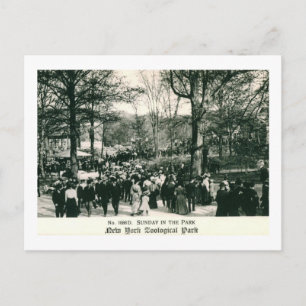 Postal Domingo en el Zoológico de Bronx