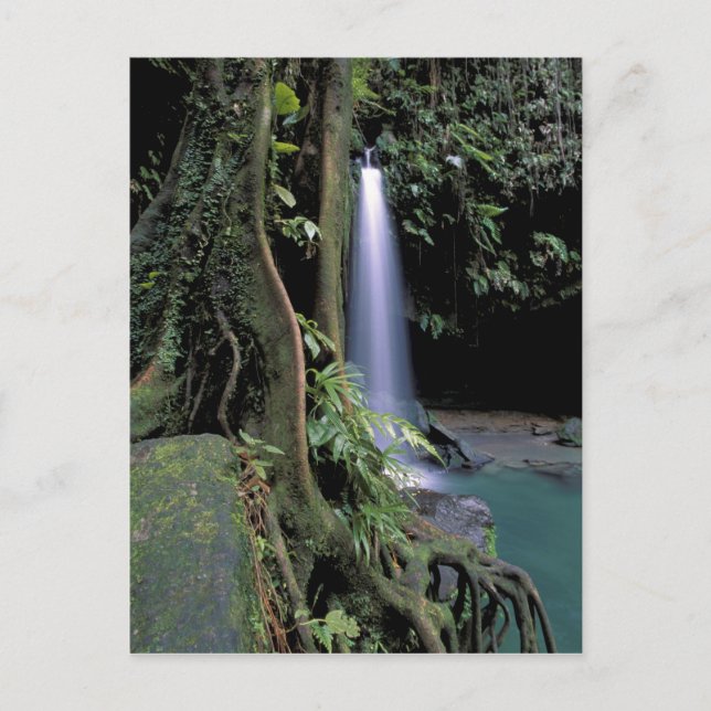 Postal Dominica, Estanque Esmeralda, Cascada. (Anverso)