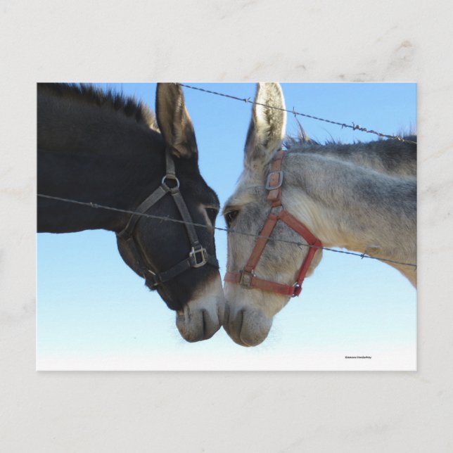 Postal Donar por ahí (Anverso)