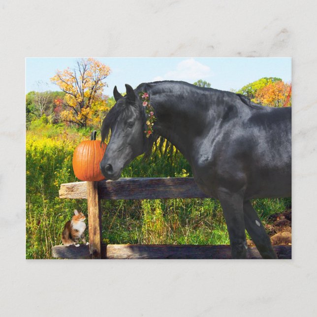 Postal "Donatella" (Anverso)