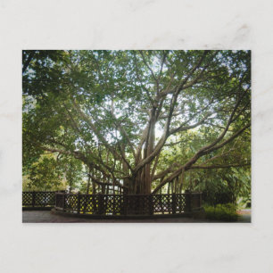 Postal Donde empieza la vida