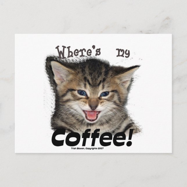 Postal ¿Dónde está mi gato del café? (Anverso)