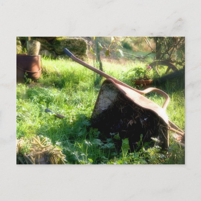 Postal ¿Dónde está Peter Rabbit? (Anverso)