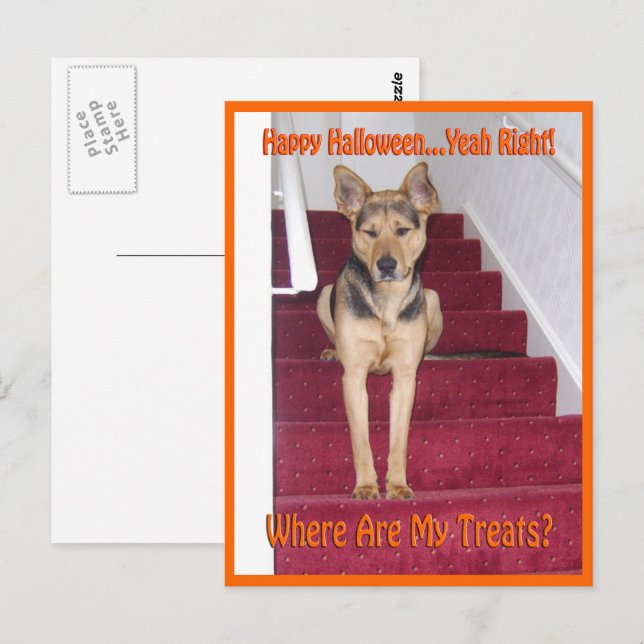 Postal Dónde Están Mis Golosinas GSD Perro Halloween (Anverso / Reverso)