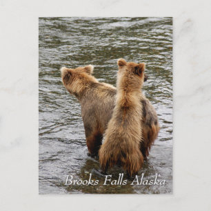 Postal ¿Dónde ves a mamá, Brooks Falls Alaska?