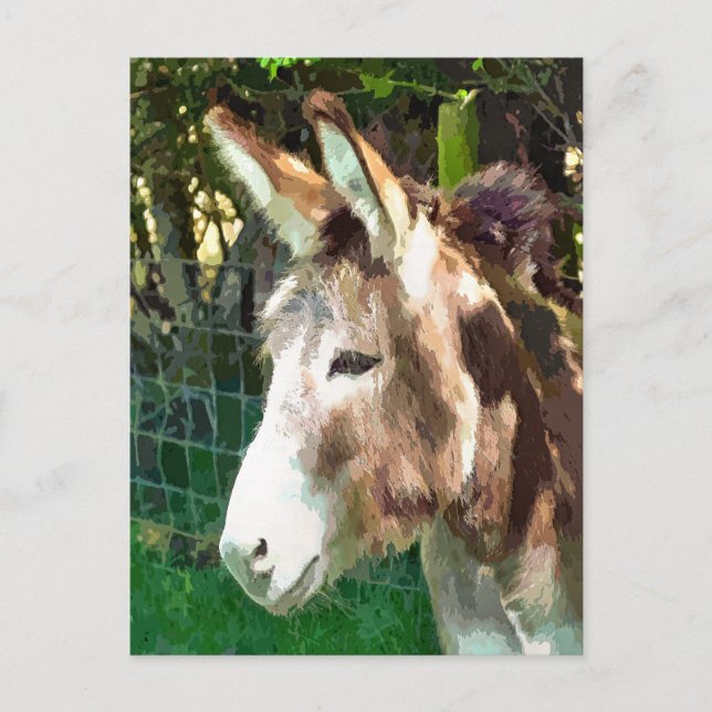 POSTAL DONKEY (Anverso)