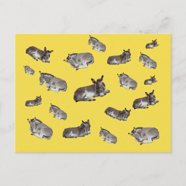 Postal Donkey Mania (Anverso)