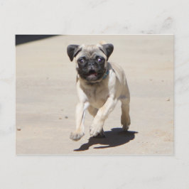 Postal Doobie Runnin'