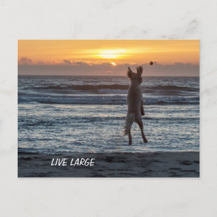 Postal Doodle Days Comics Live Postcard Grande