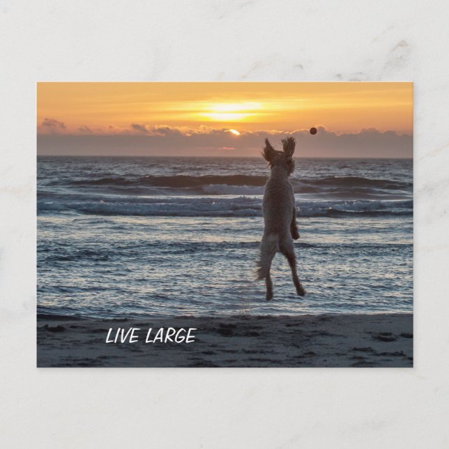 Postal Doodle Days Comics Live Postcard Grande (Anverso)