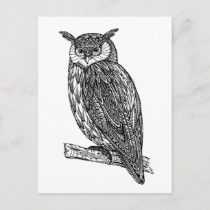 Postal Doodle de búho animal salvaje de tótem