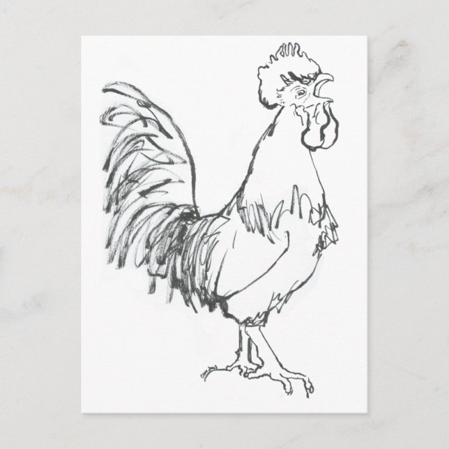 Postal Doodle de Cockerel (Anverso)