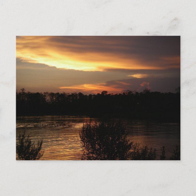 Postal dorada (Anverso)